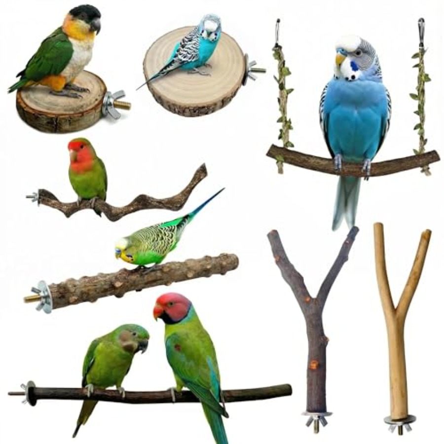 Health & Wellness Studio - 8PCS natural wood bird perches for