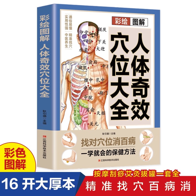 Health & Wellness Studio - Acupoint Massage & TCM Health Preservation