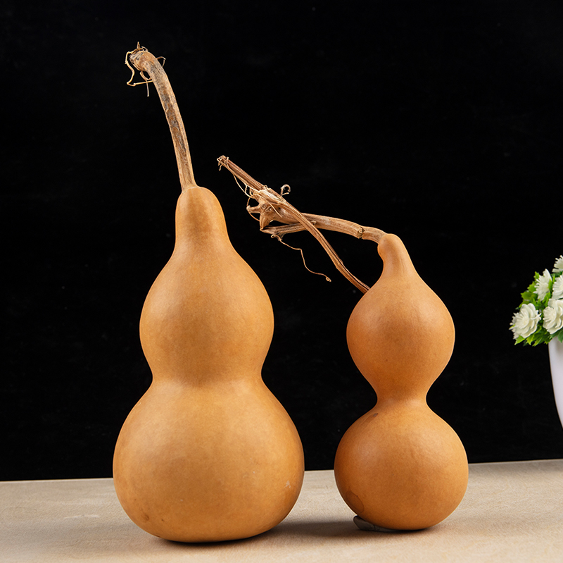 1pc Natural Gourd Handicraft O - Longevity Health & Wellness Hotel Adults Only ulasan dan harga