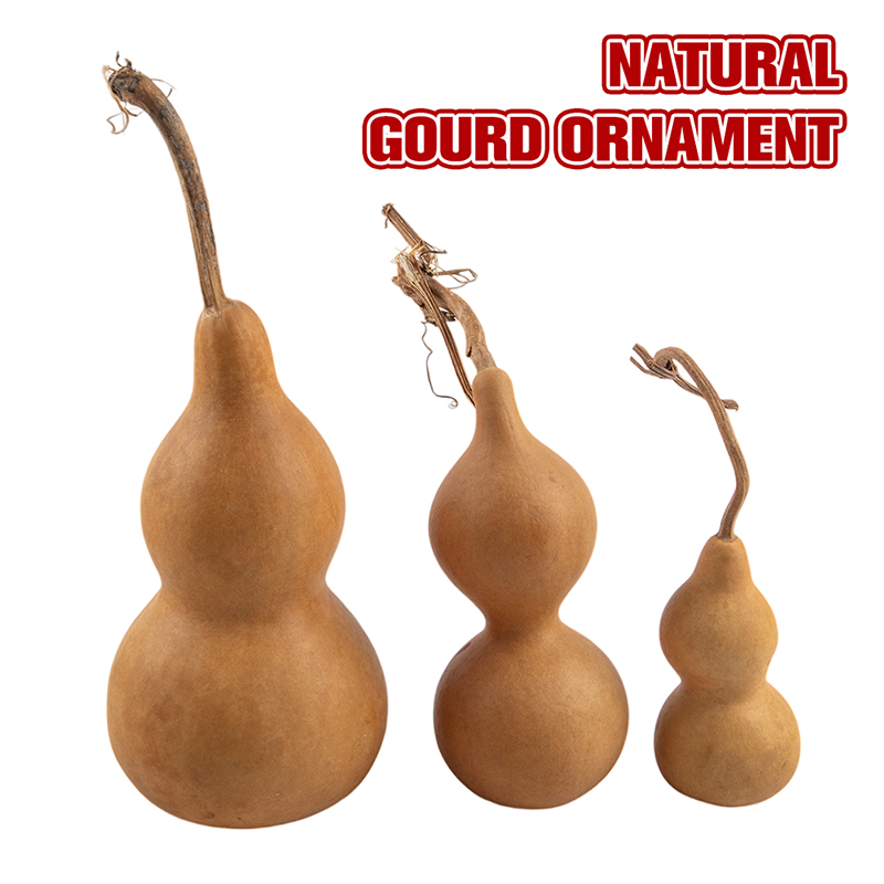 1pc Natural Gourd Handicraft O - Longevity Health & Wellness Hotel Adults Only ulasan dan harga
