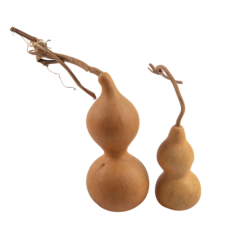 1pc Natural Gourd Handicraft O - Longevity Health & Wellness Hotel Adults Only ulasan dan harga