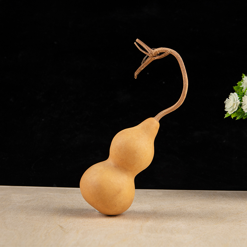 1pc Natural Gourd Handicraft O - Longevity Health & Wellness Hotel Adults Only ulasan dan harga