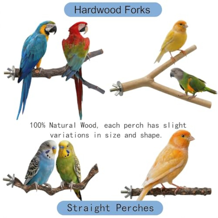 8PCS natural wood bird perches - Health & Wellness Studio ulasan dan harga