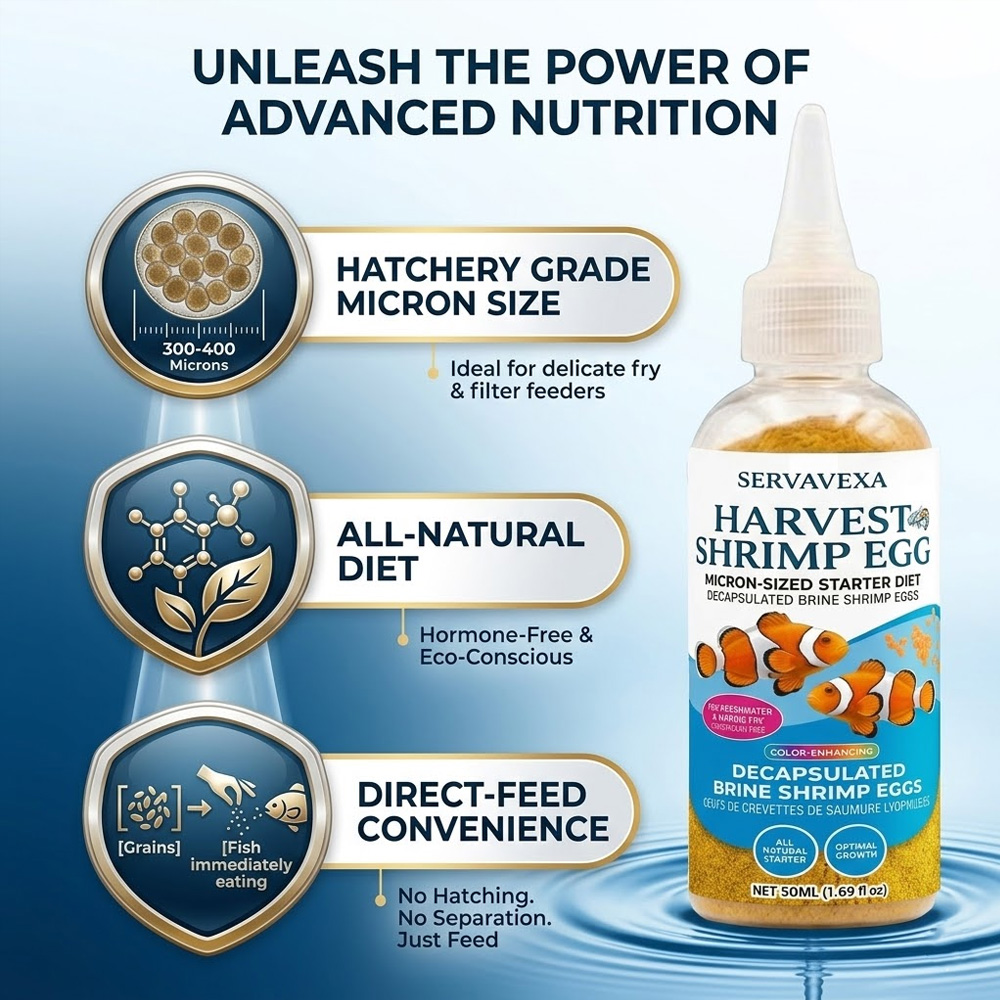 High Protein Fish Food for Bet - Health Wellness Items ulasan dan harga