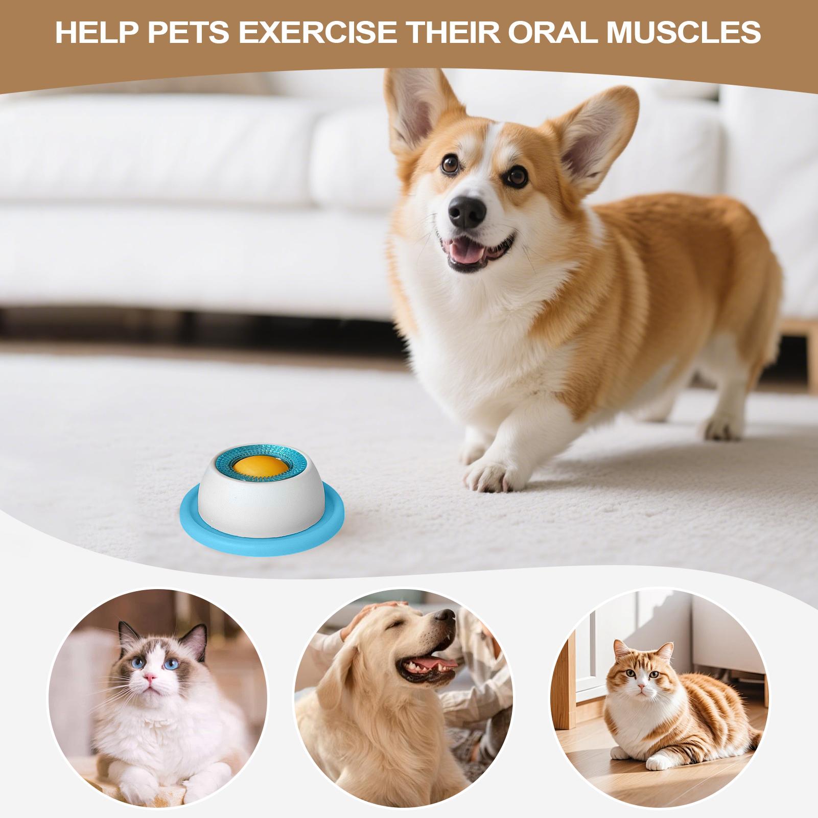 Dog Treat Toy Pet Feeding Acce - Health Wellness Items ulasan dan harga